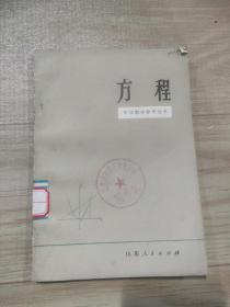 中学教学参考丛书——方程