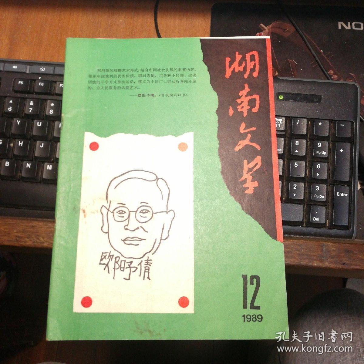 湖南文学1989年第12期