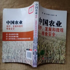 中国农业保护、发展和微观粮食安全