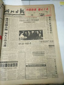 湖北日报1995年3月23日