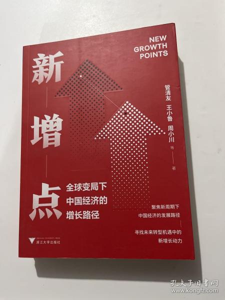 新增点：全球变局下中国经济的增长路径