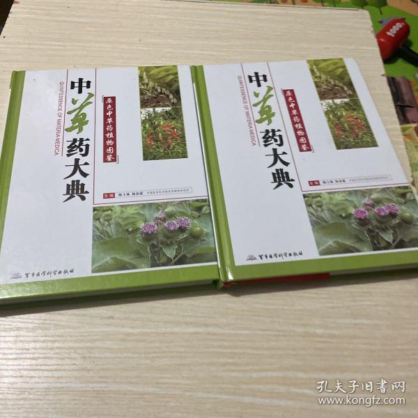 中草药大典-原色中草药植物图鉴(上下册)