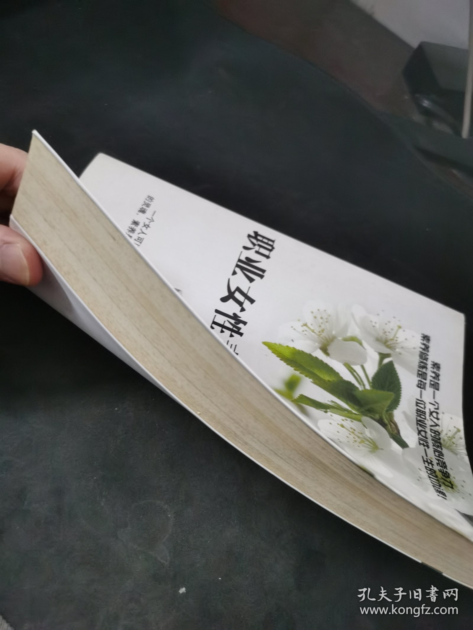 职业女性素质修养