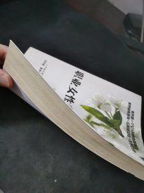 职业女性素质修养