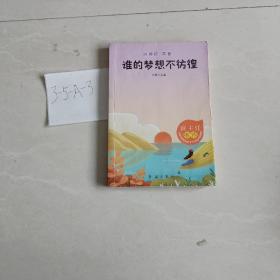 拼搏吧，青春（全6册）谁的梦想不彷徨+愿你的天空明媚如初+出发不为彼岸只为海+追寻波澜壮阔的人生等