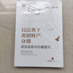 民法典下离婚财产分割司法实务与办案指引