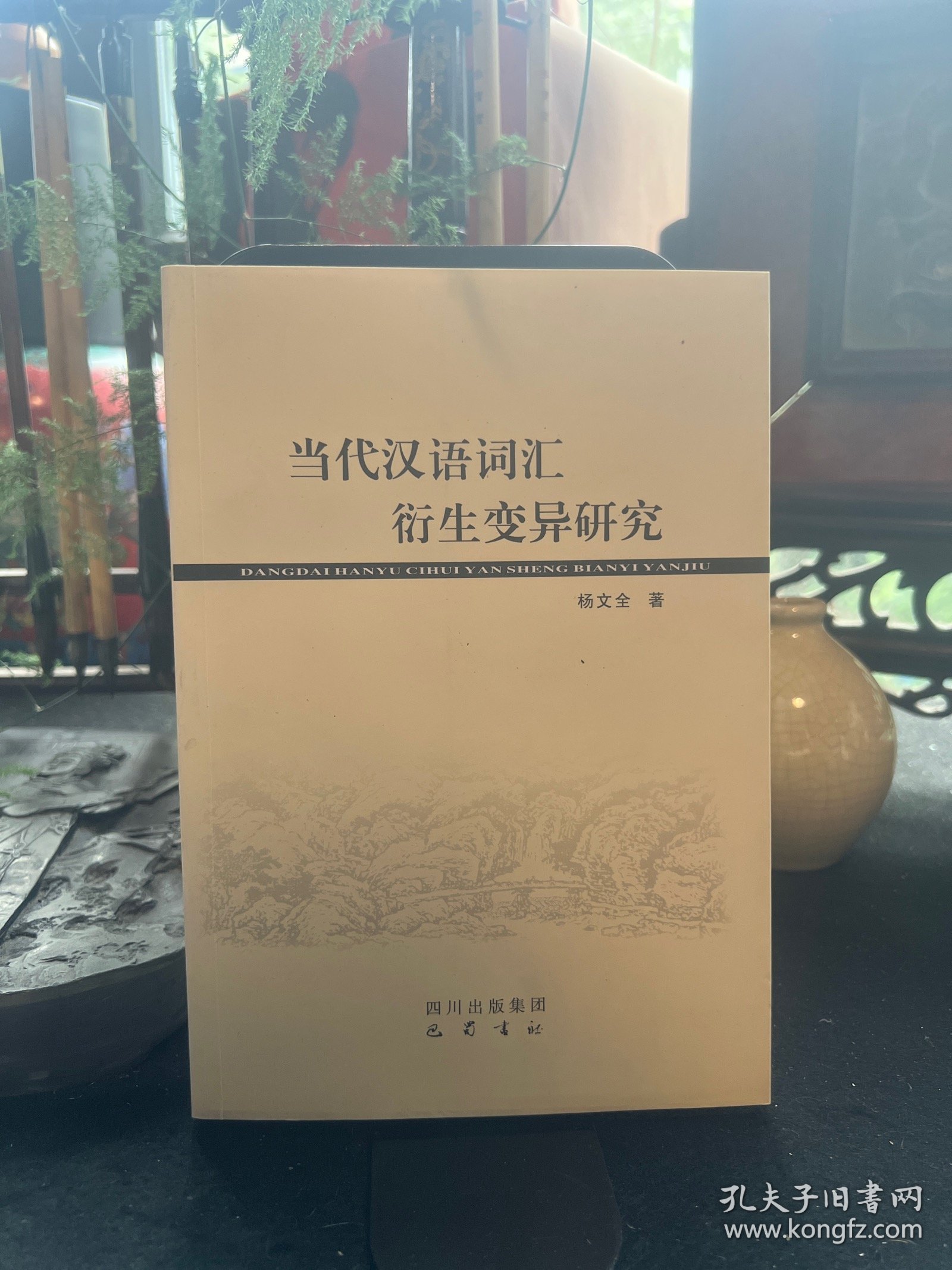 当代汉语词汇衍生变异研究 一版一印