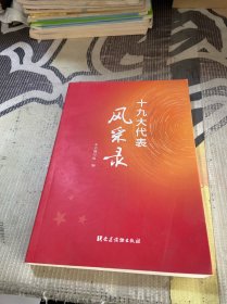 十九大代表风采录