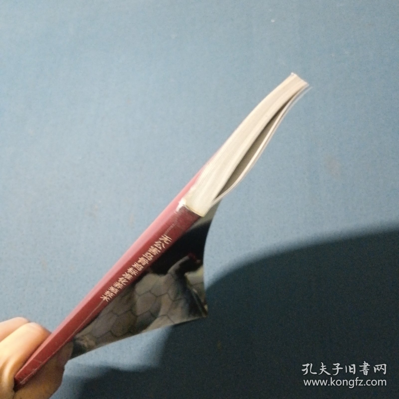 点击查看原图 无公害乌骨鸡标准化养殖技术