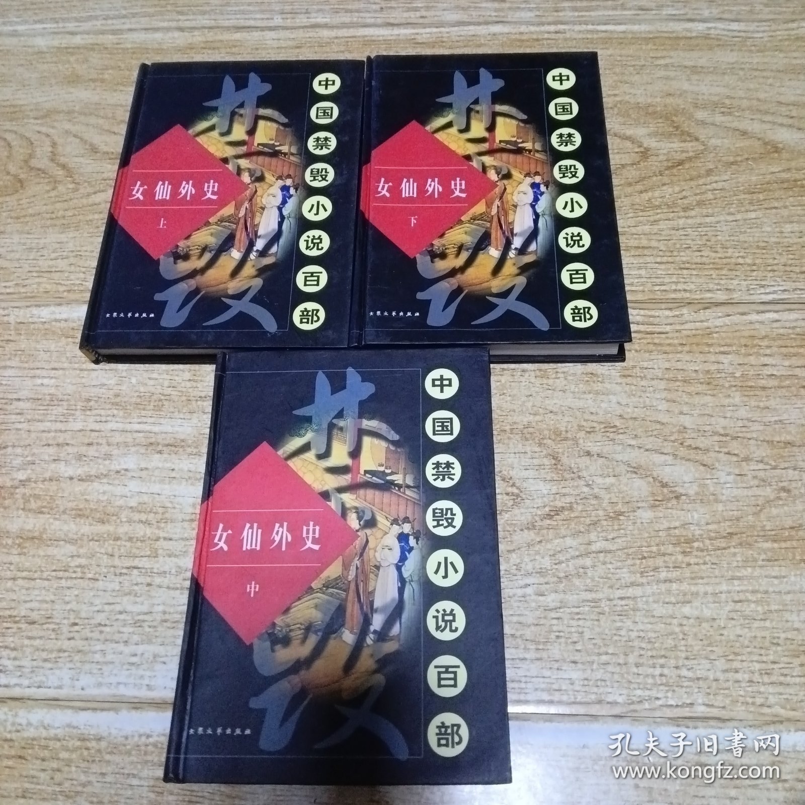 中国禁毁小说百部 女仙外史 上中下