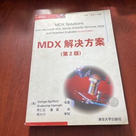 MDX解决方案（第2版）