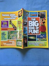 The Big Book of Fun! , National geographics kids 英文原版，无写划