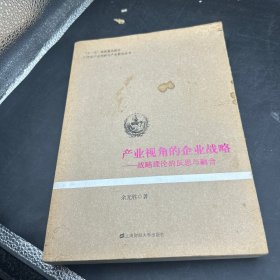 产业视角的企业战略：战略理论的反思与融合