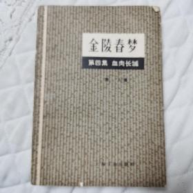 金陵春梦 第四集血肉长城