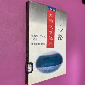 心路 知青文学经典