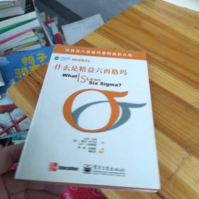 什么是精益六西格玛