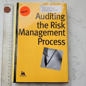 Auditing the Risk Management Process