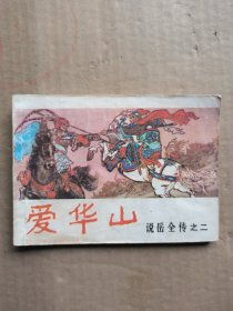 爱华山：说岳全传之二