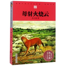 动物小说大王沈石溪·品藏书系：母豺火烧云