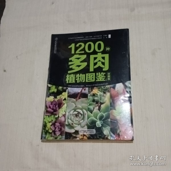 1200种多肉植物图鉴：珍藏版（汉竹）