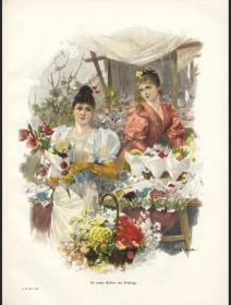 德国1896年套色石印版画春天的花