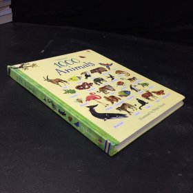 1000Animals（上書脊破損）