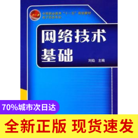網(wǎng)絡(luò)技術(shù)基礎(chǔ)(電子商務(wù)專業(yè) )