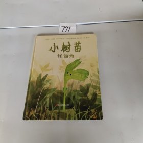 小树苗