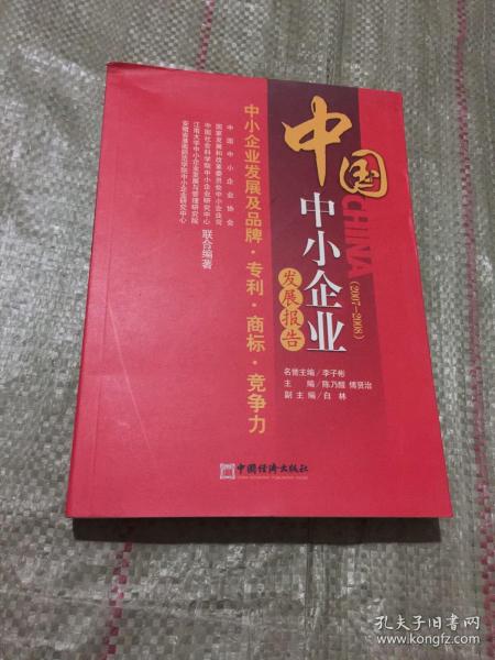 中国中小企业发展报告（20072008）