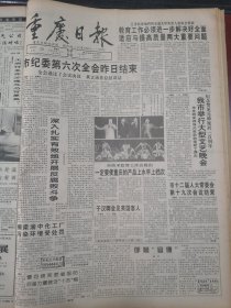 重庆日报1996年3月29日