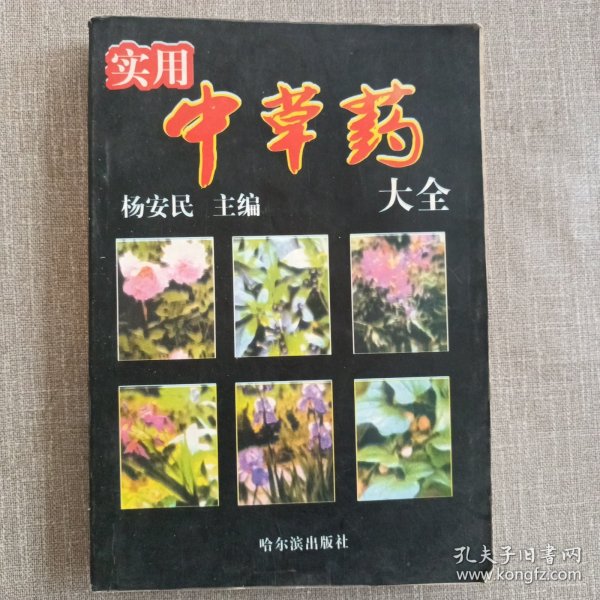 实用中草药大全