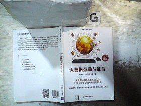 大数据金融与征信/互联网金融系列丛书