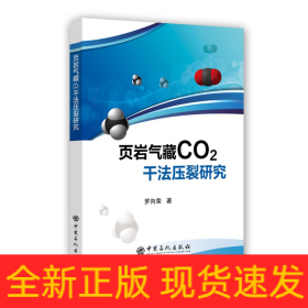 頁巖氣藏CO2干法壓裂研究
