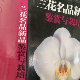 兰花名品新品鉴赏与栽培