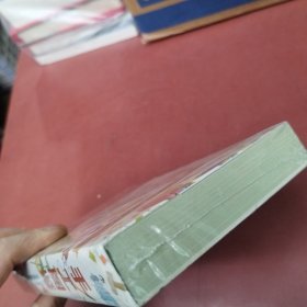手工图鉴--传统玩具、创新玩具，都能自己动手做
