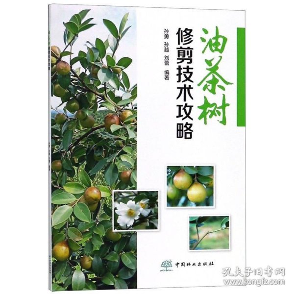 【正版书籍】油茶树修剪技术攻略