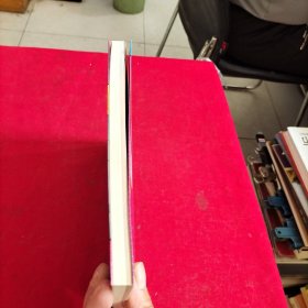 名侦探柯南探案系列14：黑衣组织的神秘女子