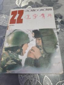 辽宁青年1993.22