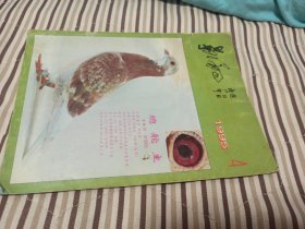 翱翔 (赛鸽杂志，1995 4)