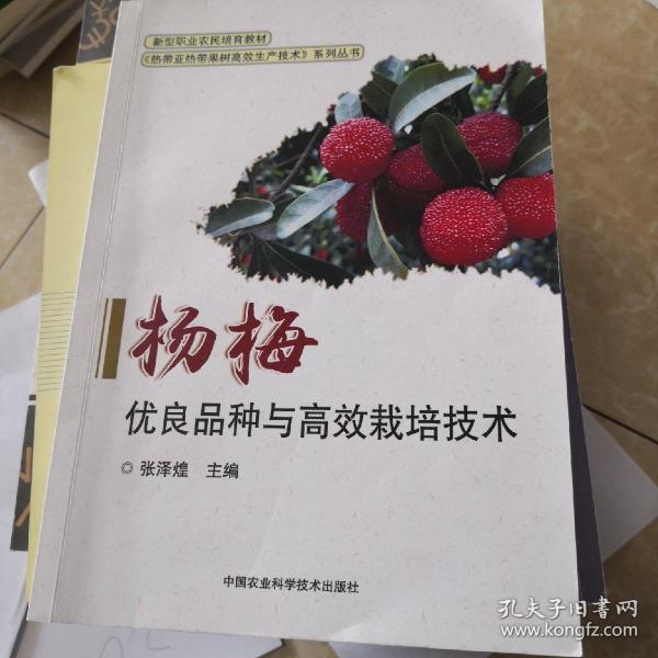 杨梅优良品种与高效栽培技术