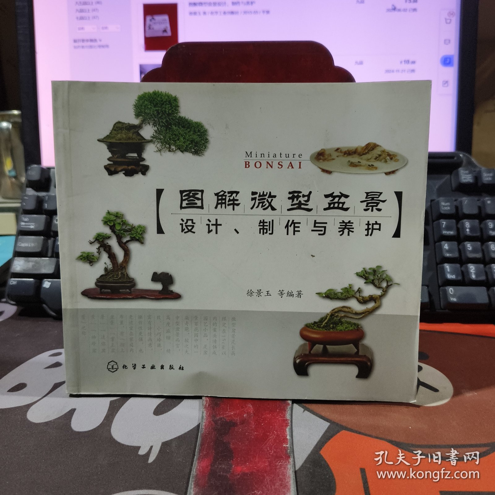 图解微型盆景设计、制作与养护（一版一印）