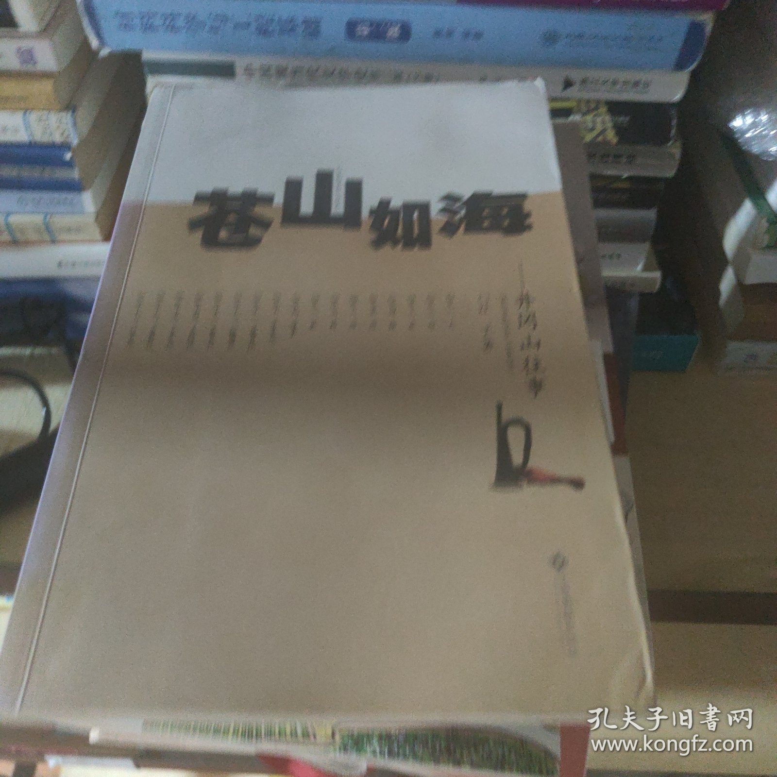 苍山如海——井冈山往事