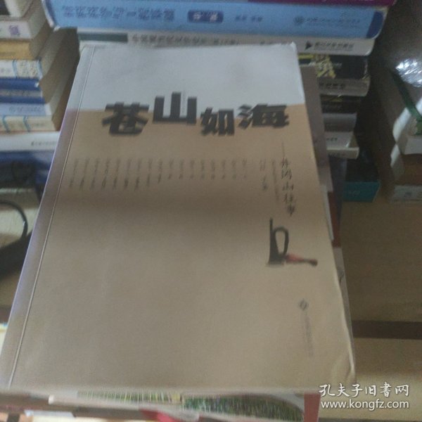 苍山如海——井冈山往事