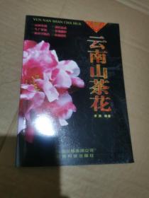 云南山茶花