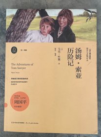 汤姆·索亚历险记