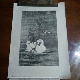 8开，红蓼白鹅（宋代）赵估作1958年1版1印