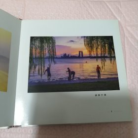 王岩摄影作品集（精装）