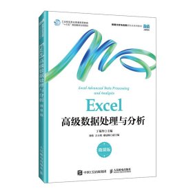 Excel高级数据处理与分析（微课版）