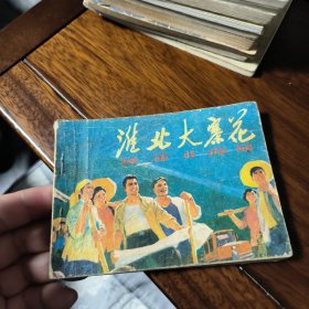 淮北大寨花