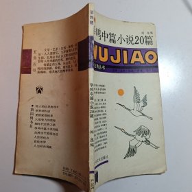 爭鳴中篇小說20篇（五角叢書）